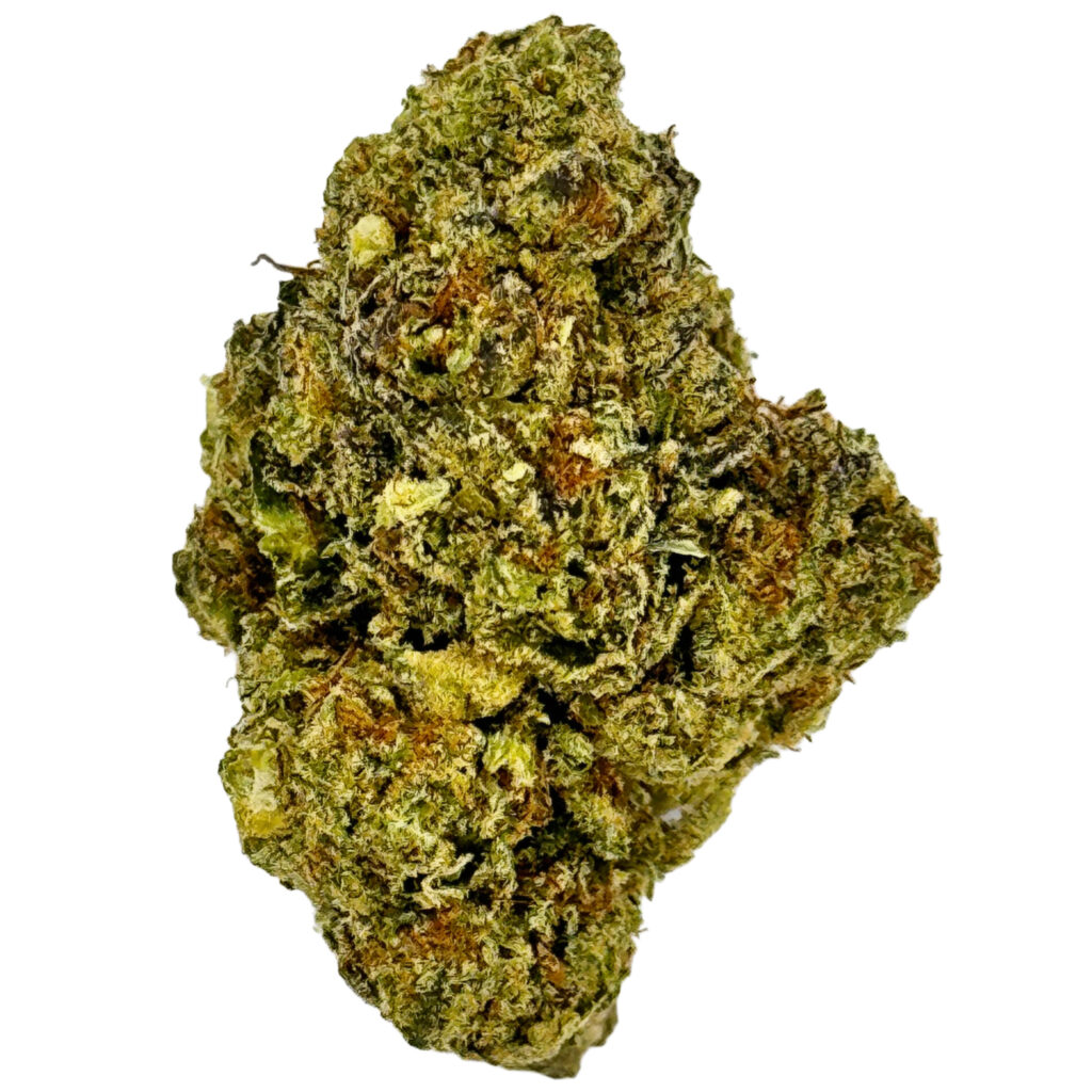 Dense green cannabis bud with orange hairs and frosty trichomes, isolated on a white background.