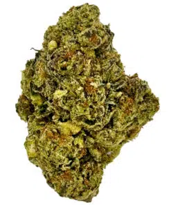 Dense green cannabis bud with orange hairs and frosty trichomes, isolated on a white background.