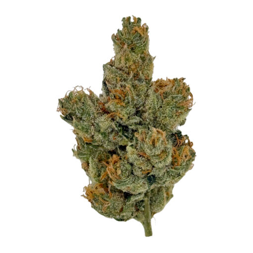 Peanut Butter Apricot | Buds N Such