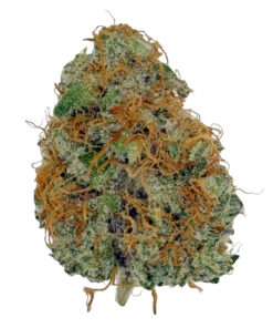Banana Mac | Buds N Such