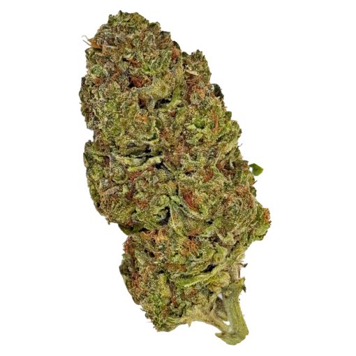 Carbon Fiber (Ounce) 1 Dense cannabis bud with vibrant green and orange hues, covered in trichomes, on a white background.