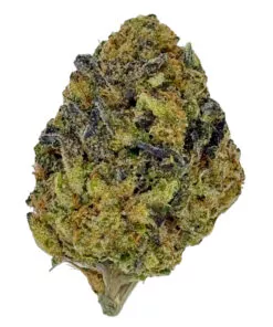 G33 (Ounce)