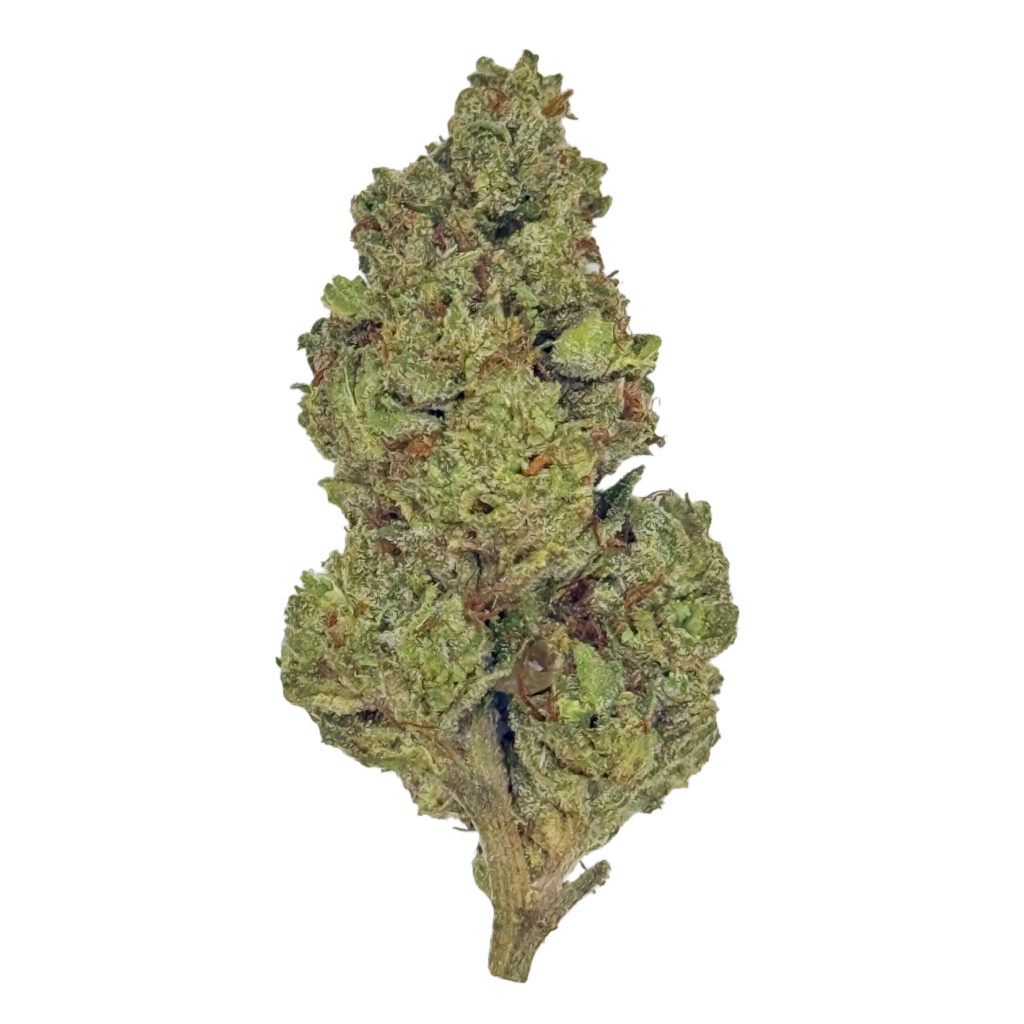 Close-up of a cannabis bud on white background, showcasing green and orange hues and dense texture.