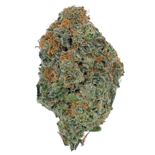 Blue Dream | New Amsterdam New Amsterdam