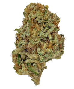 Close-up of a cannabis bud with green and orange hairs, showcasing its dense and textured appearance.