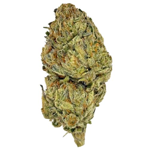 Close-up of cannabis bud with vibrant green and orange hues, showcasing its detailed texture on a white background.