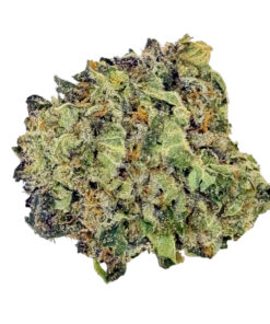 Bubble Gum