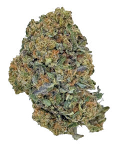 Close-up of a cannabis bud showing dense, green and orange trichomes, isolated on a white background.