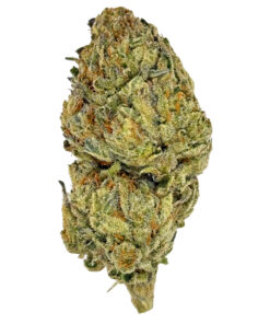 Close-up of cannabis bud with vibrant green and orange hues, showcasing its detailed texture on a white background.