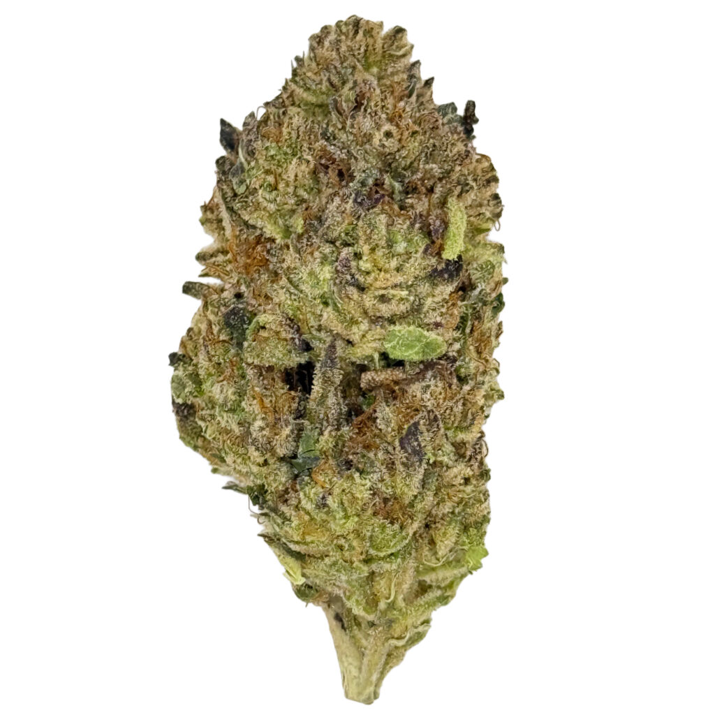 Close-up of a cannabis bud with vibrant green, orange, and purple hues, showcasing intricate texture.