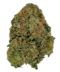 Close-up of a cannabis bud with vibrant green and orange hues, showcasing its texture and trichomes.