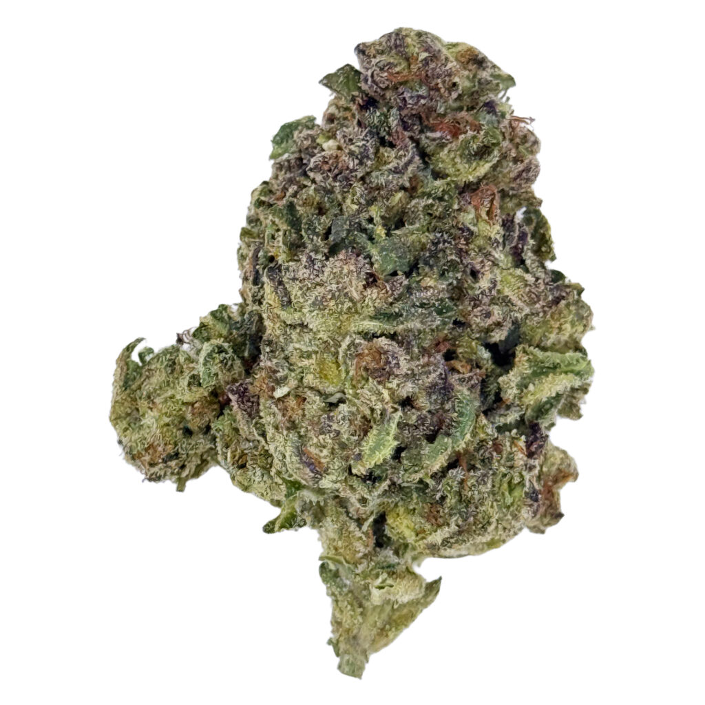 Close-up of a cannabis bud with green and purple hues, covered in trichomes on a white background.