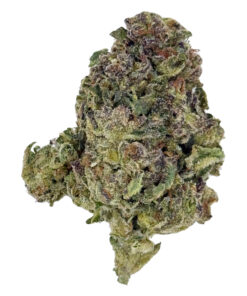 Close-up of a cannabis bud with green and purple hues, covered in trichomes on a white background.