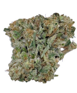 Close-up of a frosty, green cannabis bud with orange hairs, highlighting its vibrant texture and details.