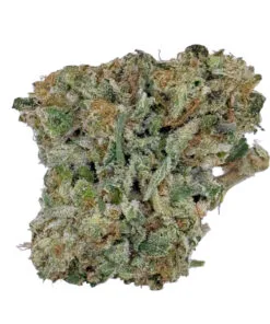 Close-up of a frosty, green cannabis bud with orange hairs, highlighting its vibrant texture and details.