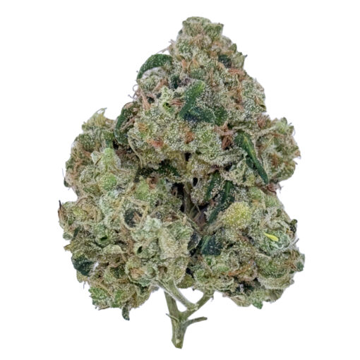 Karma Sour BX2 | Galaxy Grown