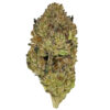 Close-up of a cannabis bud with vibrant green, orange, and purple hues, showcasing intricate texture.