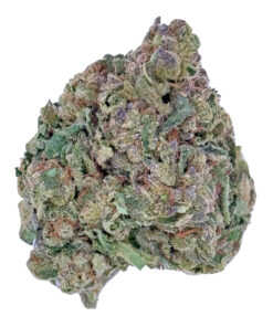 Close-up of a cannabis bud showcasing vibrant green and purple hues with visible trichomes.