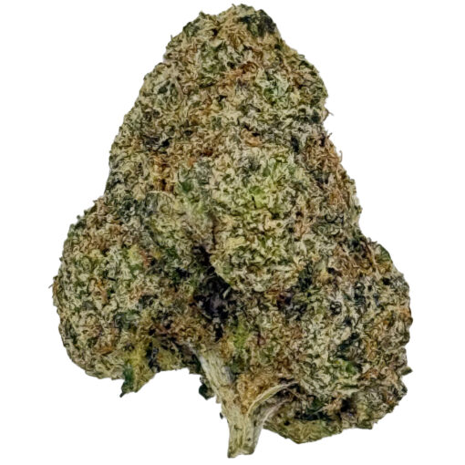 Hubba Bubba