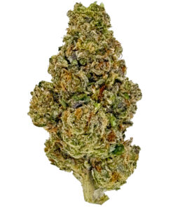 Gelonade (Ounce)