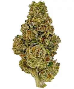 Gelonade (Ounce)