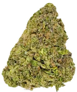 Close-up of a green cannabis bud isolated on white, showcasing detailed texture and vibrant colors.