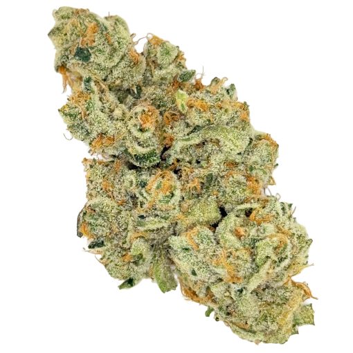 Super Boof (Trop Cookies x Black Cherry Punch) | Buds N Such 1 Close-up of a frost-covered cannabis bud with vibrant orange hairs and green leaves.