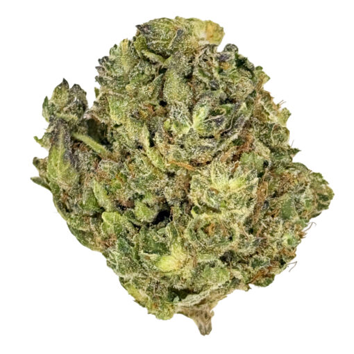 Tropical Smoothie