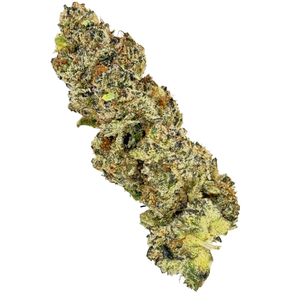 Dense cannabis bud with trichomes and mixed green, orange hues isolated on white background.