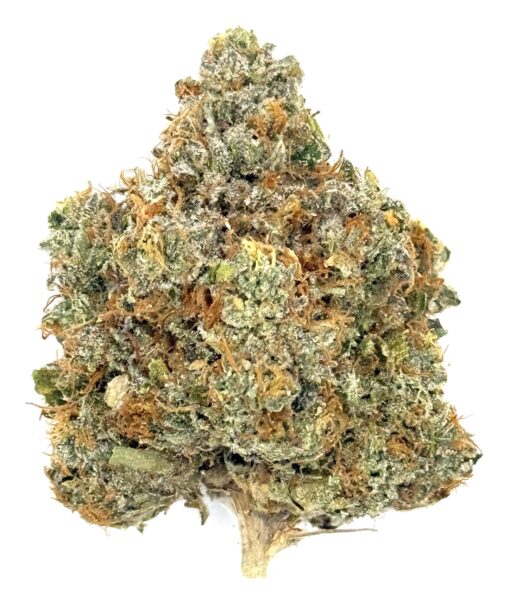 Black Oishii | New Amsterdam