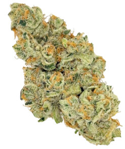 Super Boof | Buds N Such