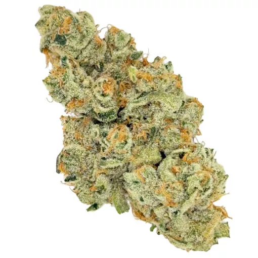 Super Boof | Buds N Such