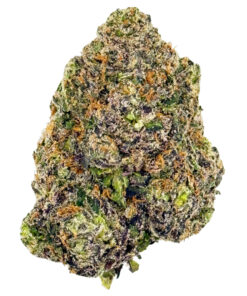 Passion Fruit