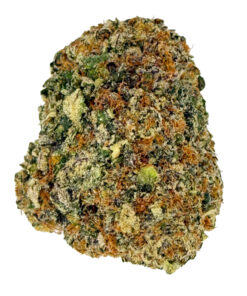 Melon
