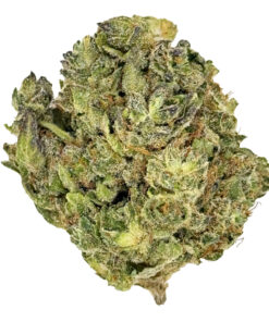 Tropical Smoothie
