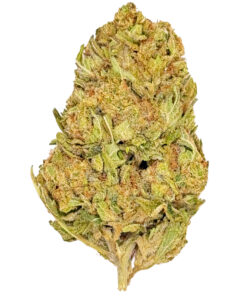 Grape Soda