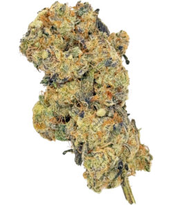 Northern Lights