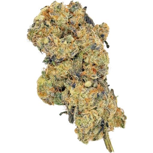 Northern Lights