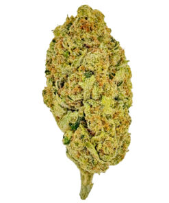 Super Lemon Haze - Metrobud