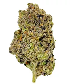 Black Cherry