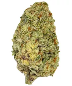 Pineapple Punch