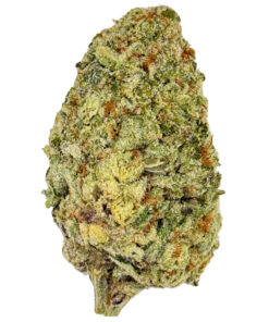 Pineapple Punch