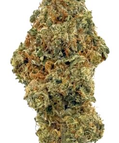 Candybanger | New Amsterdam