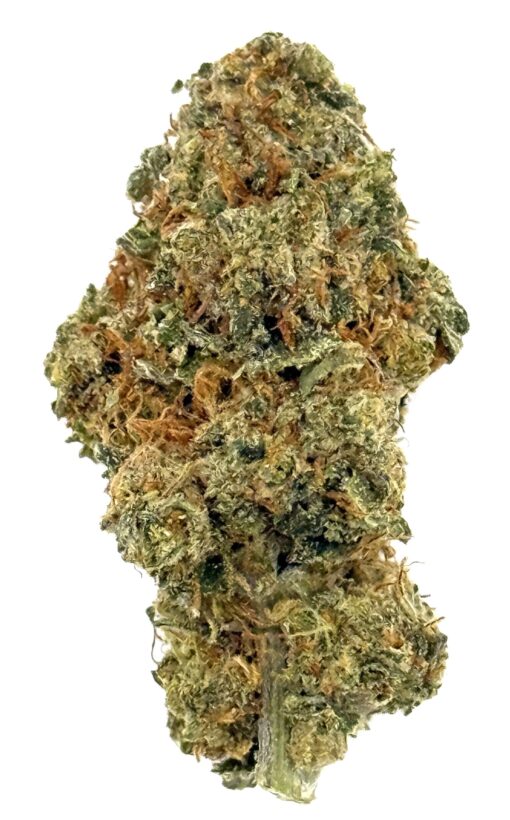 Candybanger | New Amsterdam