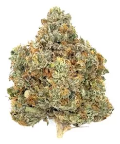 Black Oishii | New Amsterdam