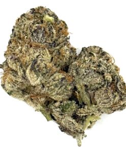 Ghost Pepper | Pushin Petalz