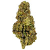 Close-up of a cannabis bud showcasing green hues and trichomes against a white background.