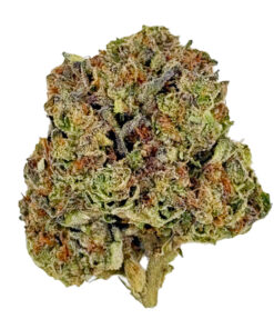 Close-up of a cannabis bud displaying vibrant green and orange hues against a white background.