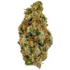 Cannabis bud close-up showing detailed texture and trichomes on white background.