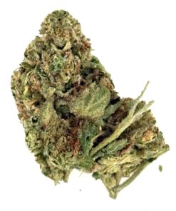 Blueberry Punch